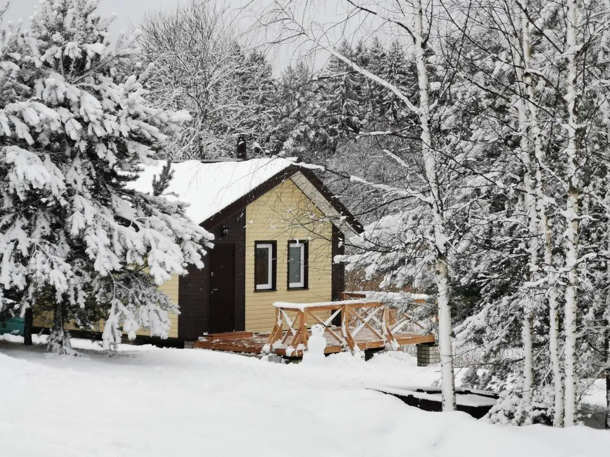 Новые Ельцы: Guest House Elena