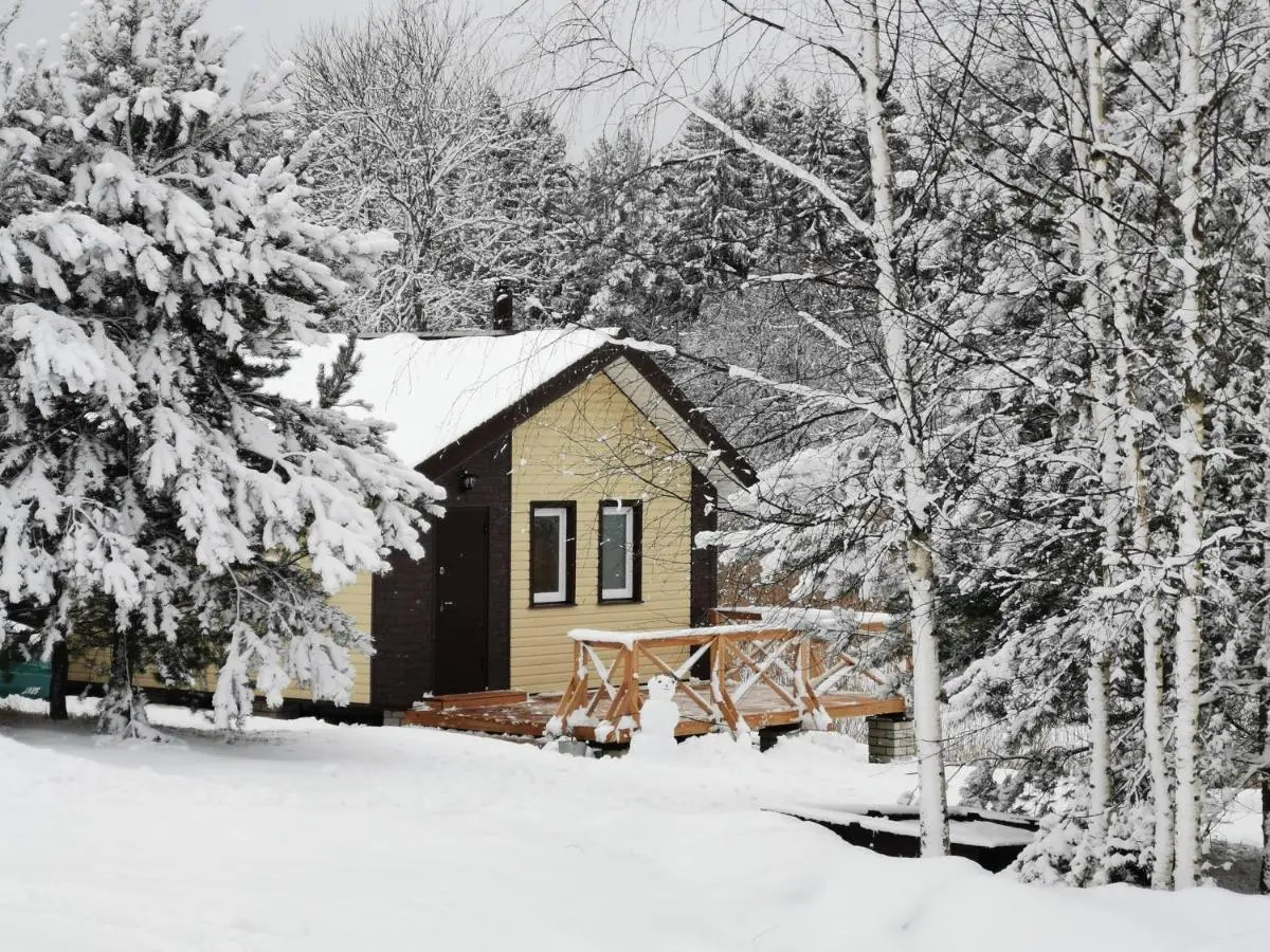 Новые Ельцы: Guest House Elena