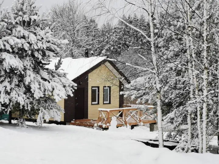 Новые Ельцы: Guest House Elena