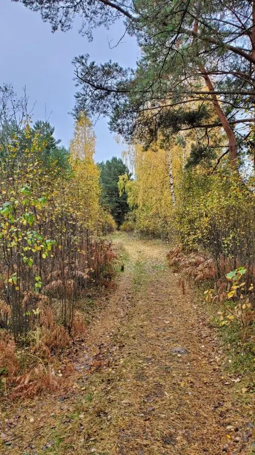 Пачково: Уютный дом