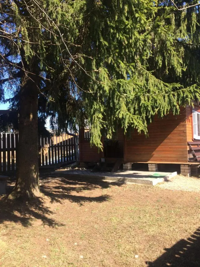 Бараново: Cottage Yolka