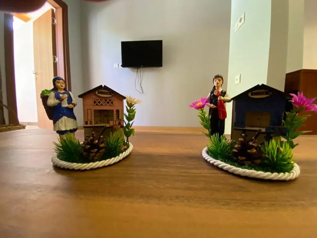 carousel image 2
