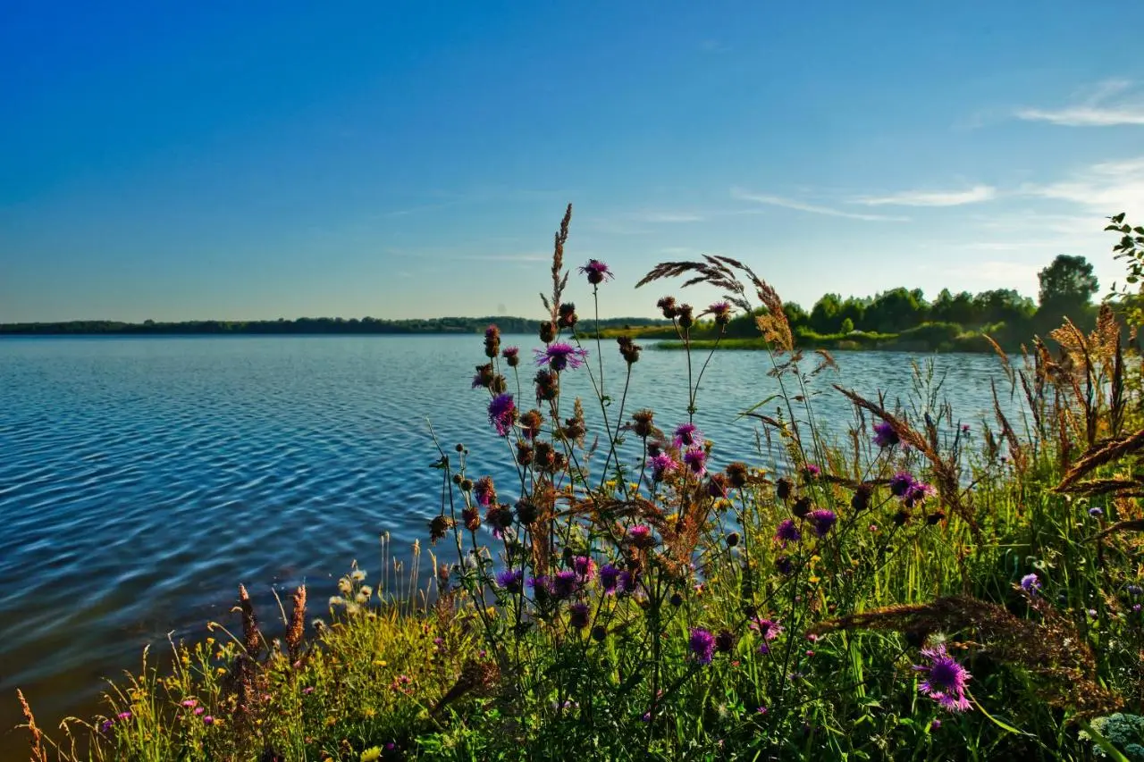 Pul'nikovo: Гостевые дома Экопарка Vazuza River