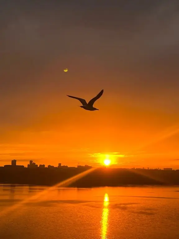 Стамбул: Perfect Lake view Entire Apartment