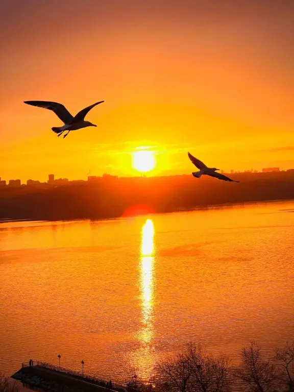 Стамбул: Perfect Lake view Entire Apartment