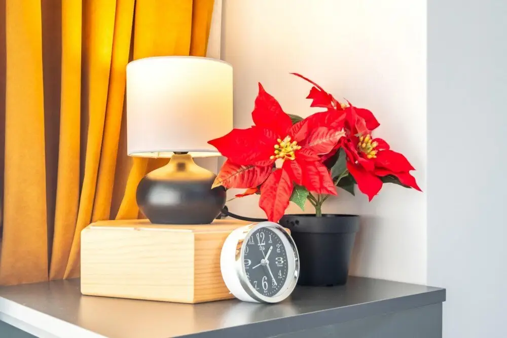Стамбул: Lovely and Central Flat Near Ciragan Palace