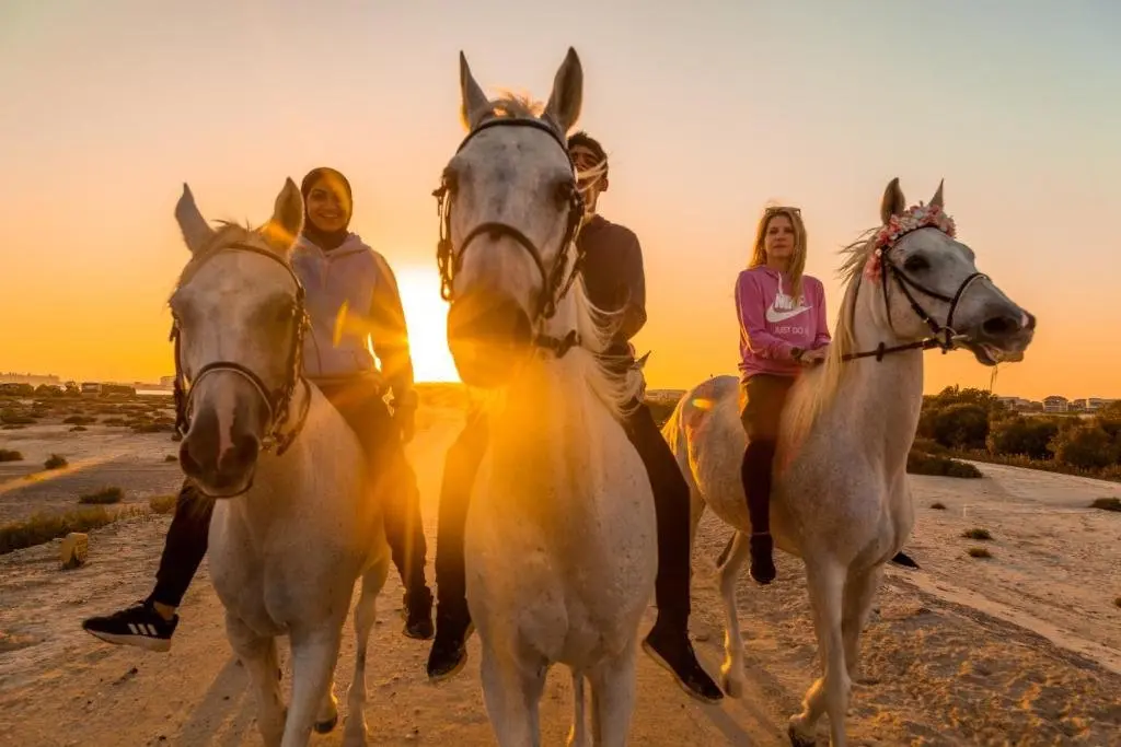 Абу-Даби: Pura Eco Retreat Jubail Island Abu Dhabi