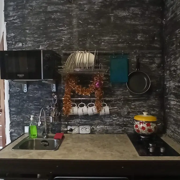 Белокуриха: Гостевой дом Twin House