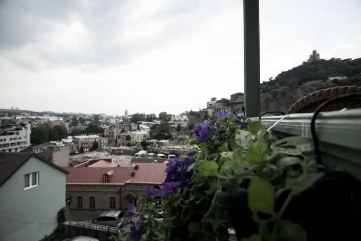 Тбилиси: Botanic Apartment