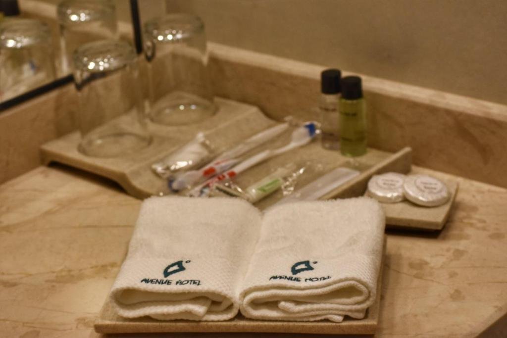 Тбилиси: Hotel Avenue Hotel Tbilisi Mimino