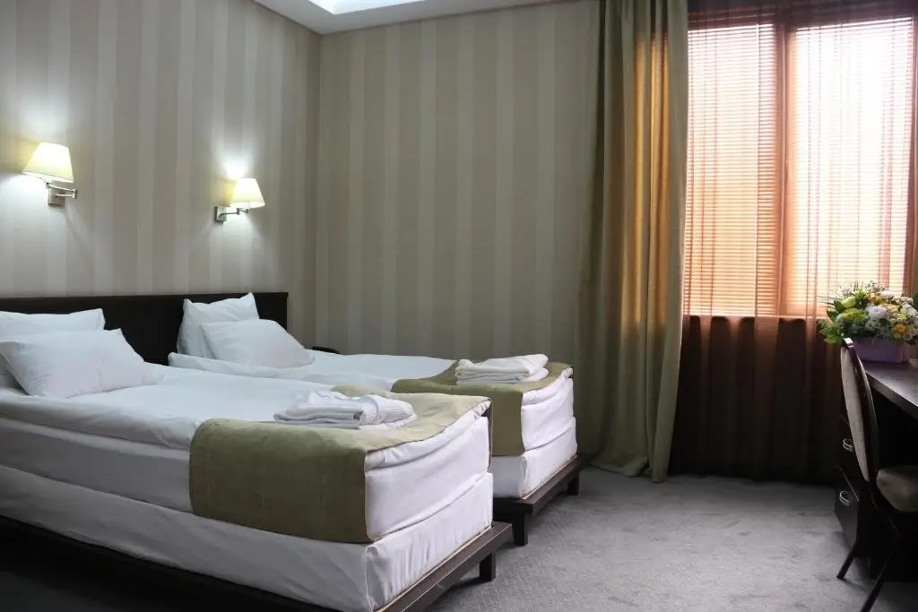 Тбилиси: Hotel D'Plaza Hotel Mimino