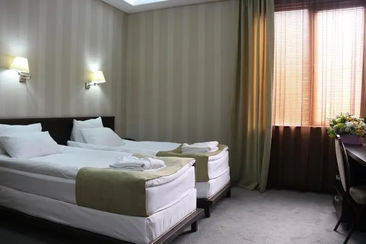 Тбилиси: Hotel D'Plaza Hotel Mimino