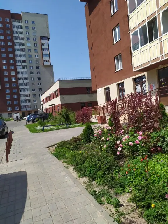Калининград: Апартаменты Сельма