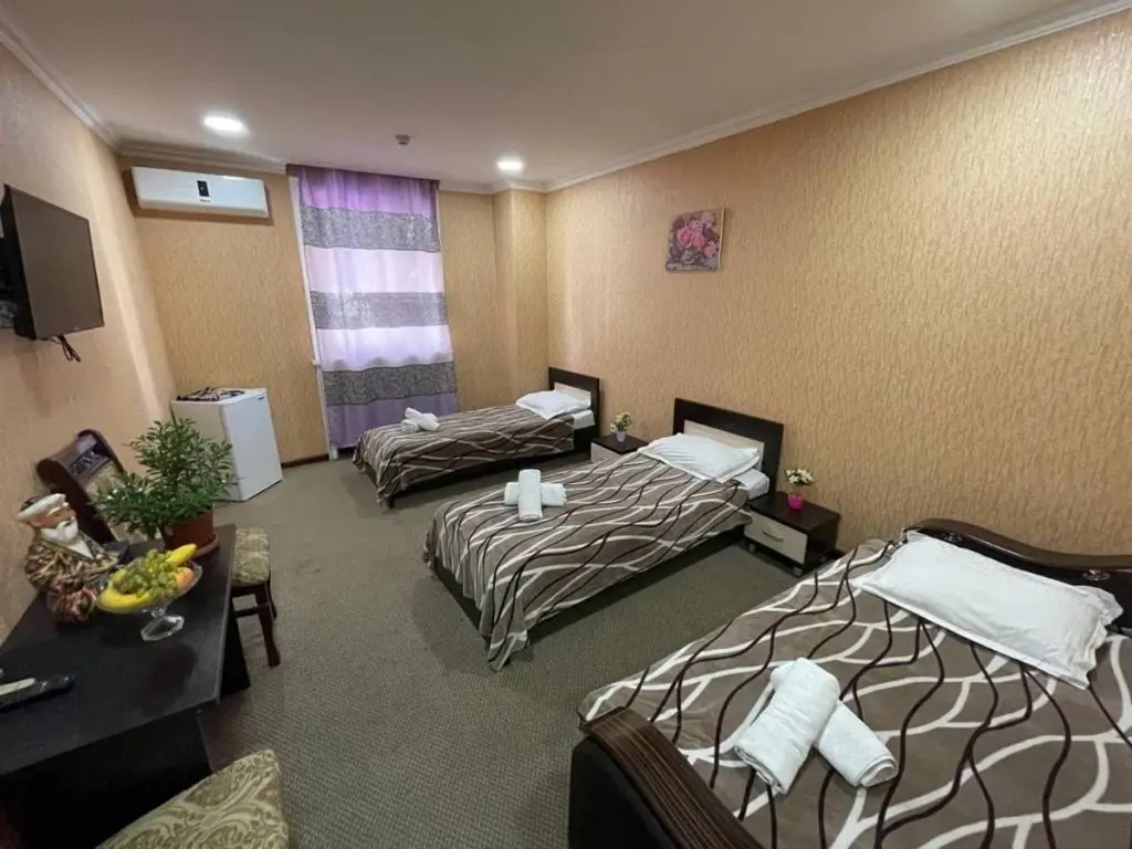 Ташкент: SV Hotel (СВ)