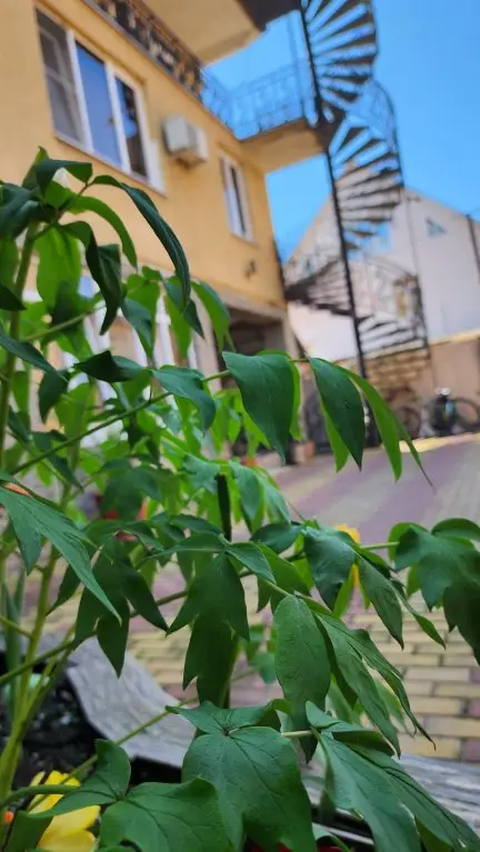 Сириус: Гостевой Дом Мзымта House
