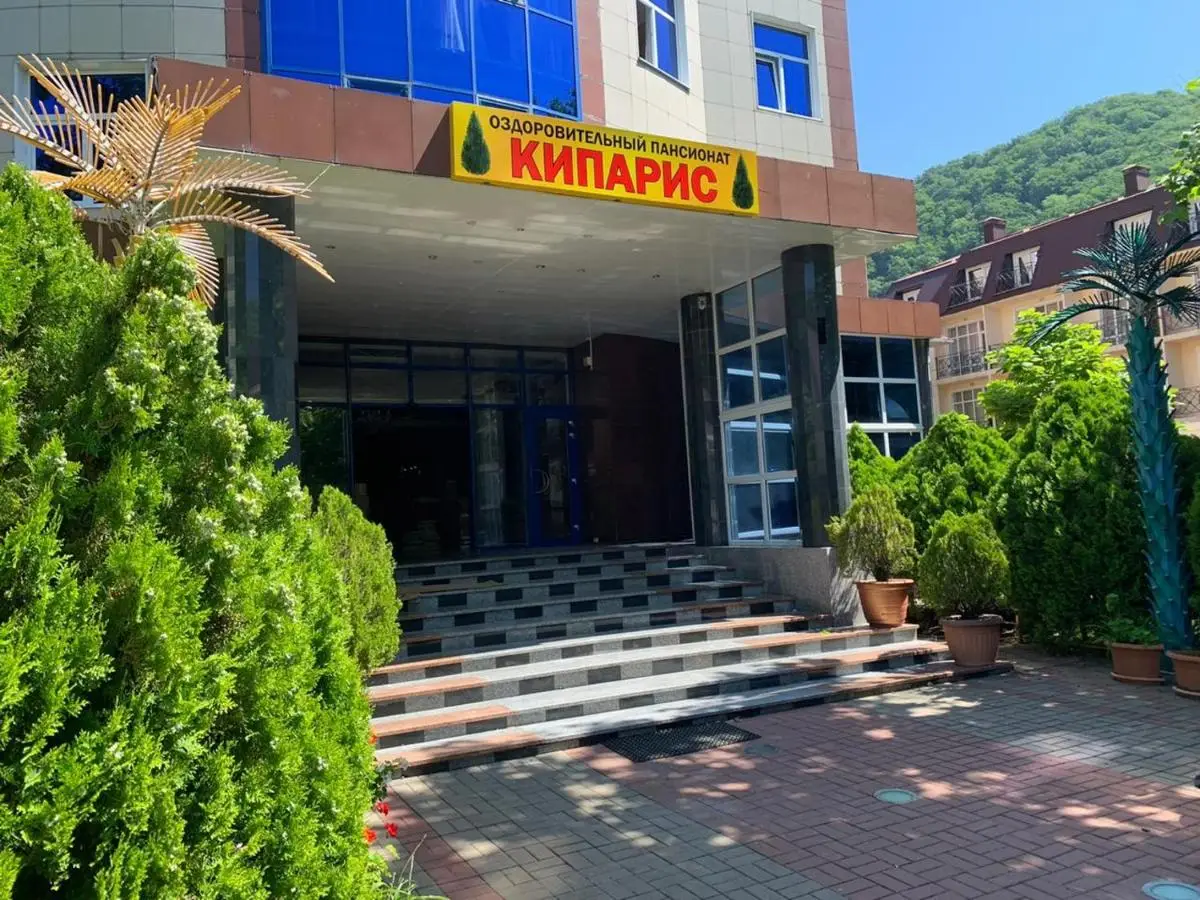 Ольгинка: Кипарис Ольгинка