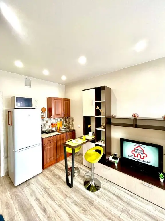 Новосибирск: Апартаменты Sibirian Apartament's on Startovaya