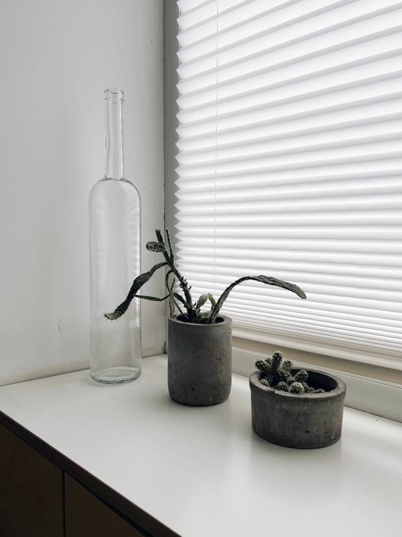 Калининград: Апартаменты Flat39
