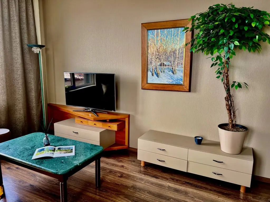 Санкт-Петербург: Видовая квартира в ЖК Эмеральд Piter Apatrments (2 спальни, парковка, кондиционер)