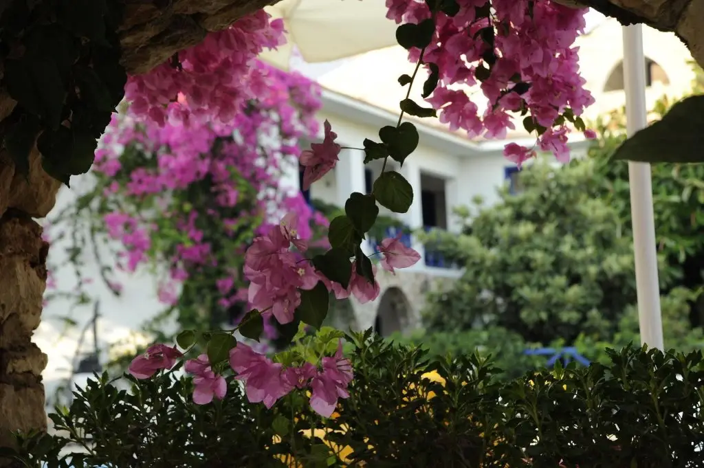 Каш: Leamira Hotel Kas