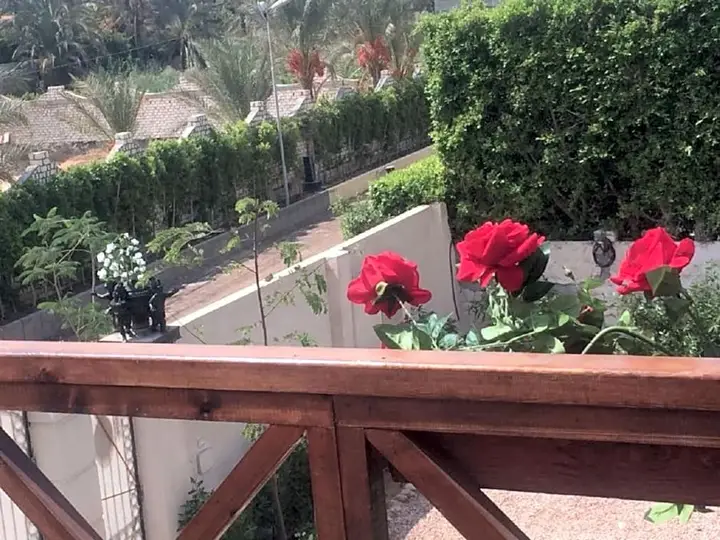 Борг-эль-Араб: Jasmin Holiday House