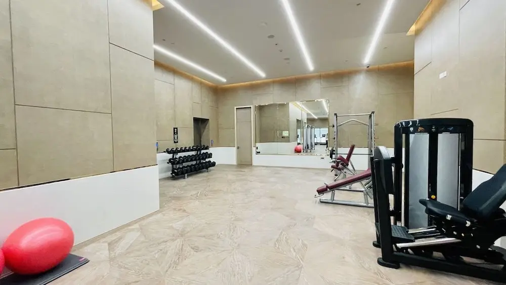 Дубай: LUX Iconic Views at The Palm Tower 6
