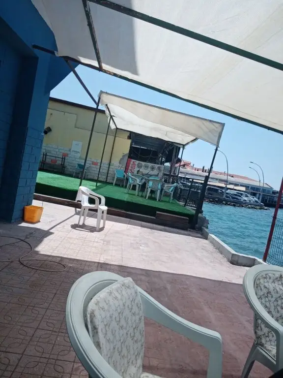 Айвалык: Palm Hostel&Cafe