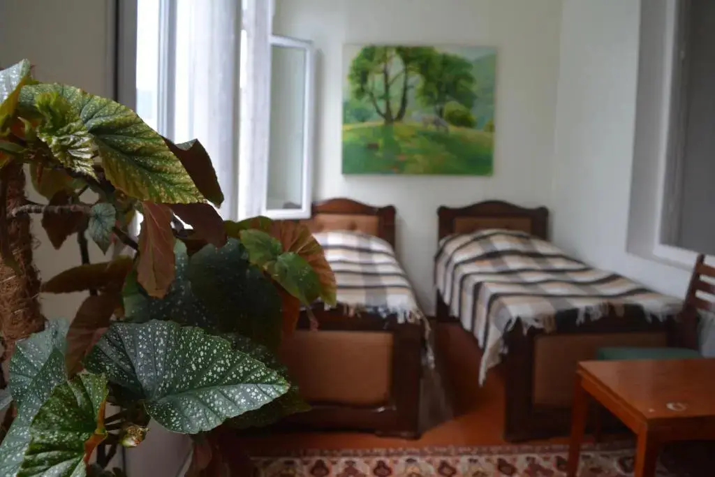 Дилижан: Sunny Sweet Home