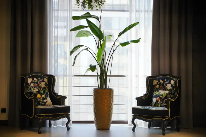 Махачкала: Отель 1000 и 1 Ночь