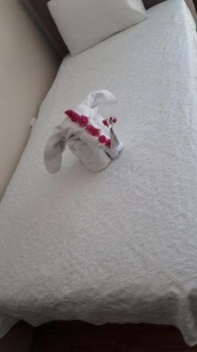 Кёйджегиз: Özay Otel