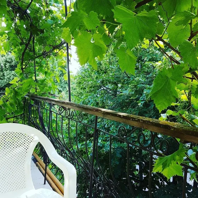 Геленджик: GelenGuest Guest House
