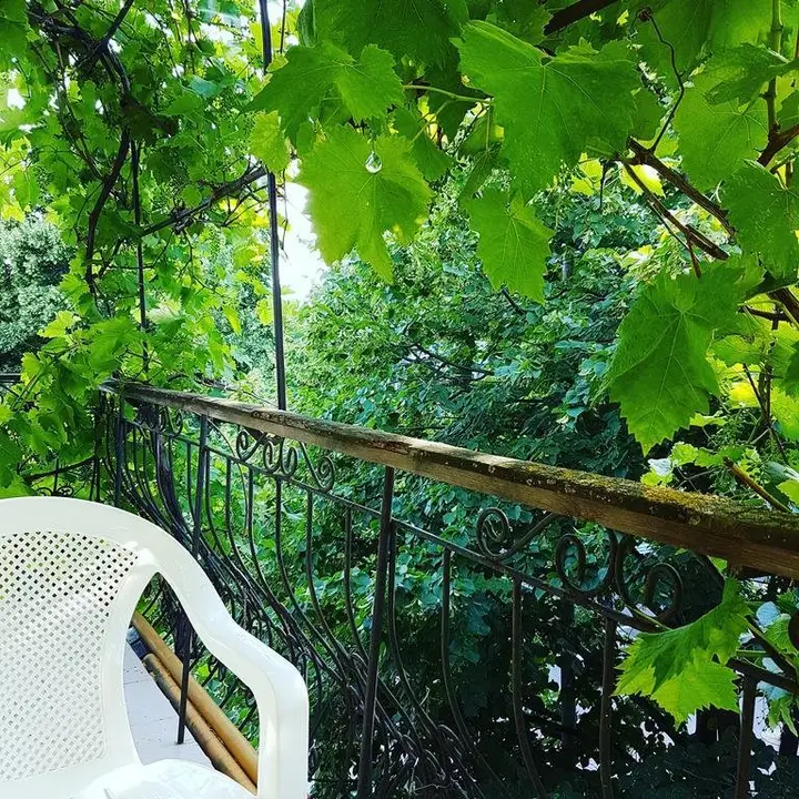 Геленджик: GelenGuest Guest House