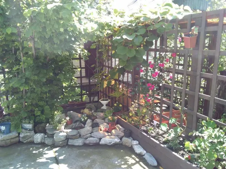 Сочи: Letniye Domiki Vacation Home