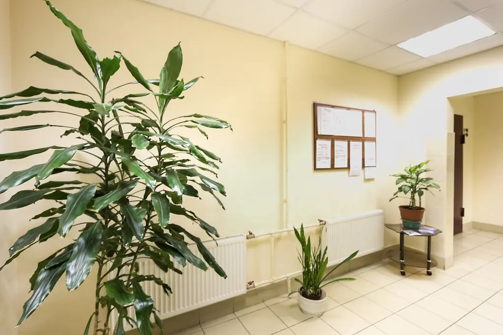 Санкт-Петербург: Na Kollontaj 30k2 Apartments