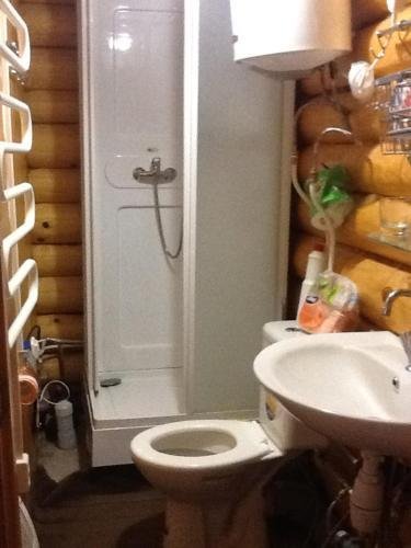 Ольховка: Holiday home Priozerie