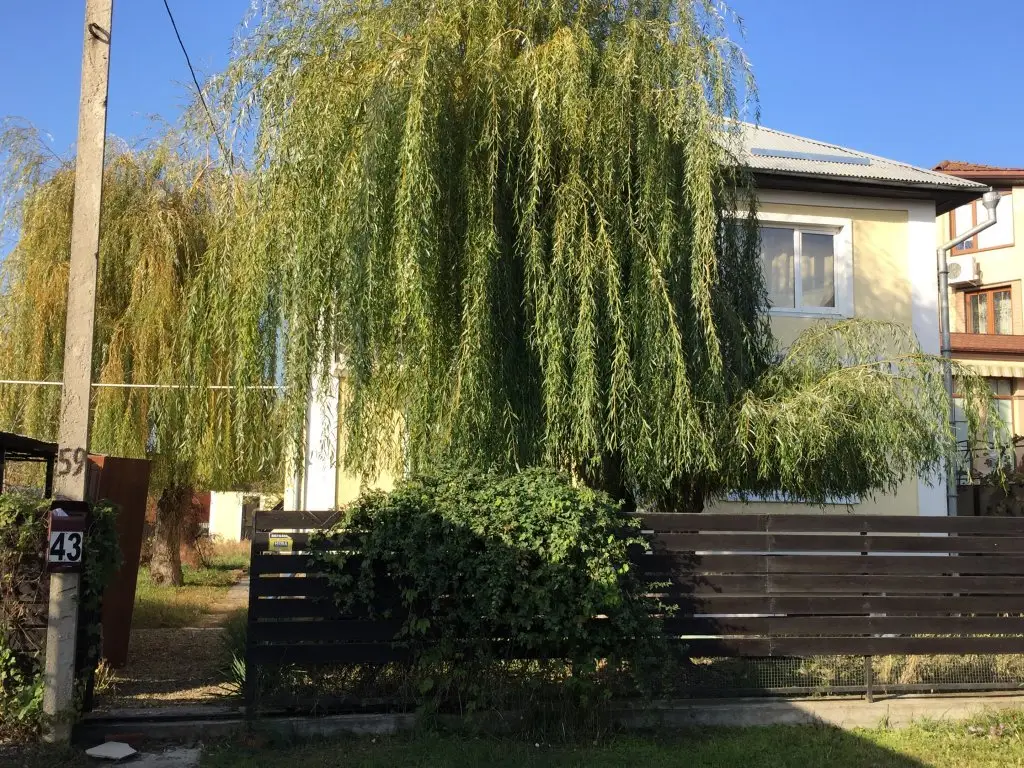 Краснодар: Solnechnyij Hostel
