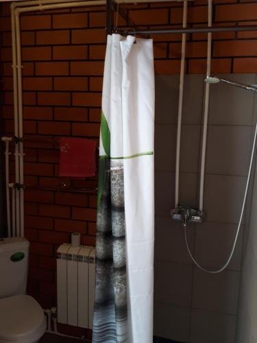 Луховицы: Guest house Distantsiya