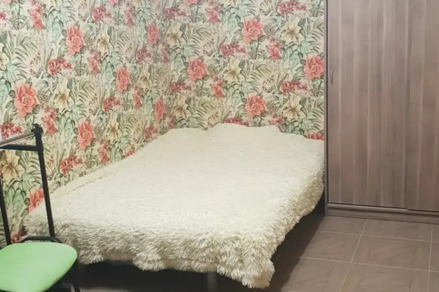 Сукко: Wood Dreams