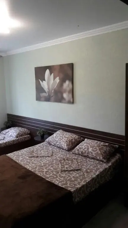 Джубга: Guest House Olga