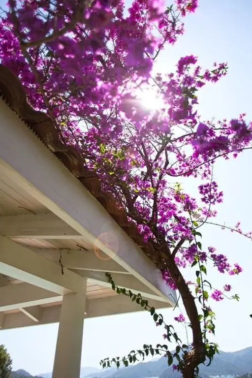 Фетхие: Villa Mistral A12 Gocek Hills