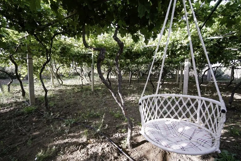 Датча: Grape Datça