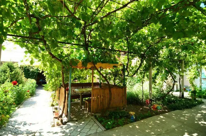 Песчаное: Гостевой дом Ласточка