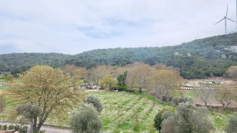 Урла: Otel Naturla Göl Evi