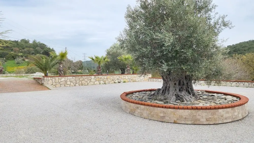 Урла: Otel Naturla Göl Evi