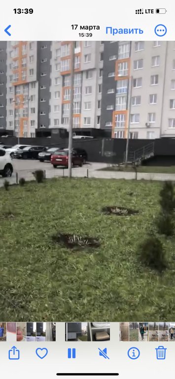 Калининград: Апартаменты Янтарь
