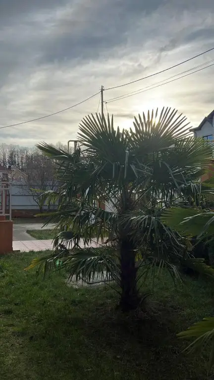 Агой: Меблированные комнаты Малахит