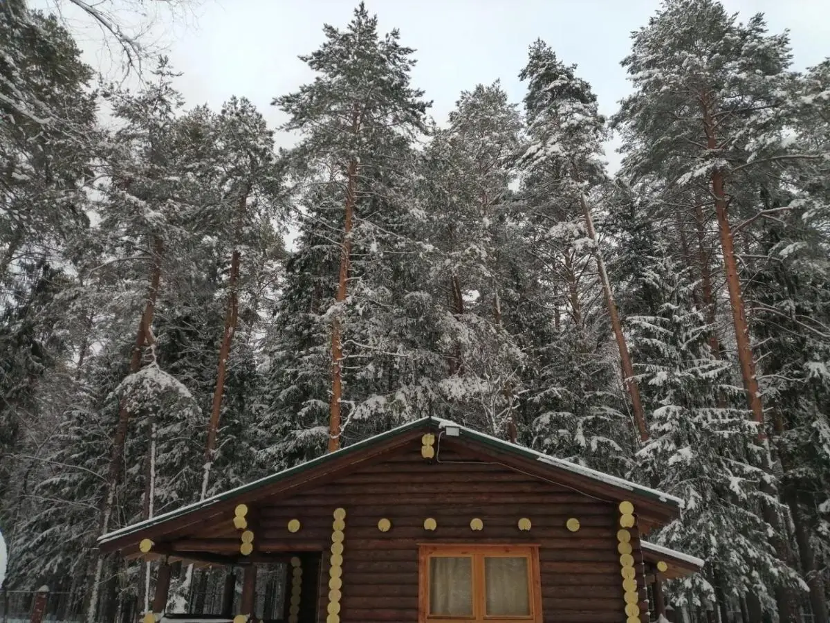 Кемпинг «Тихий лес» — фото 1