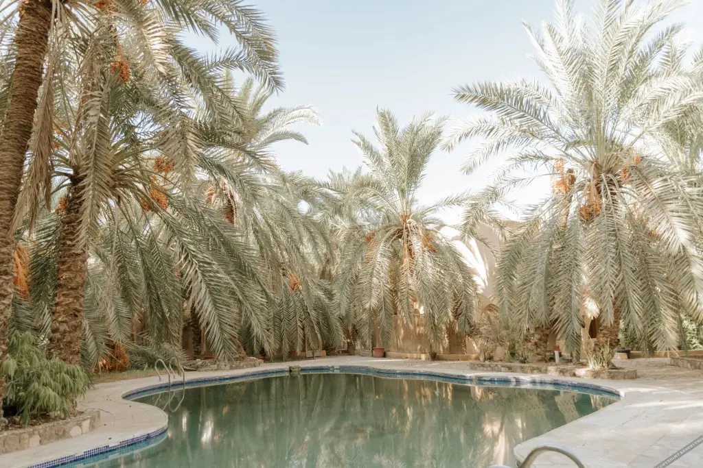 Сива: siwa safari paradise hotel