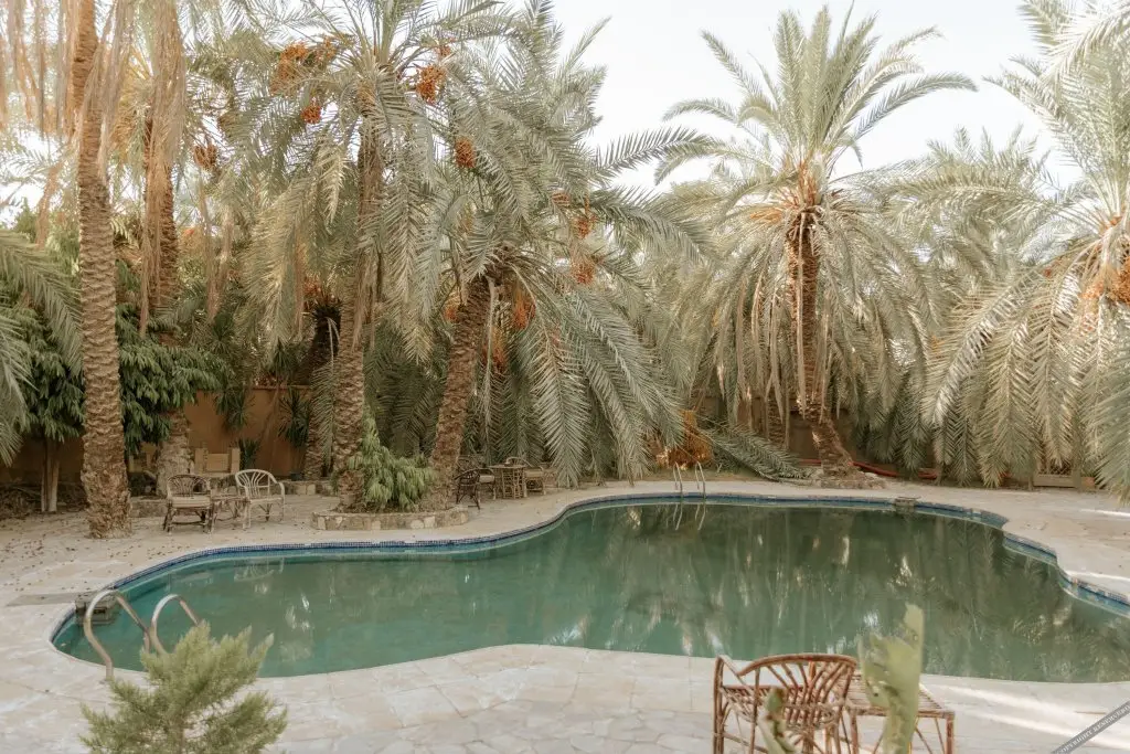 Сива: siwa safari paradise hotel