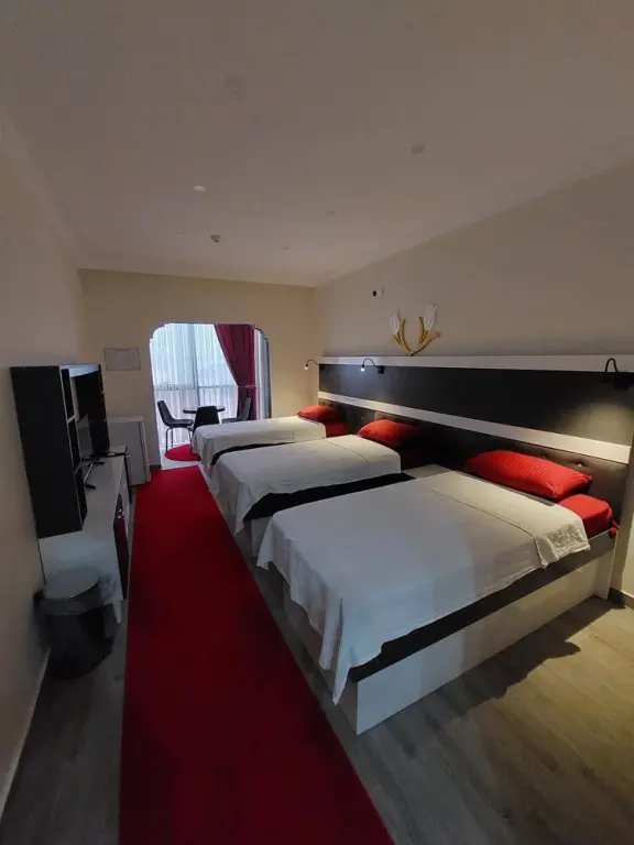 Кыркларели: Yayla Palas Hotel